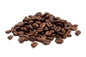 Fudge Brownie